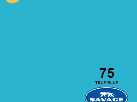 Savage 107  True Blue Seamless Paper For Sale